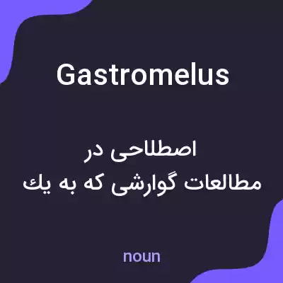 معنی gastromelus به فارسی معنی gastromelus به فارسی