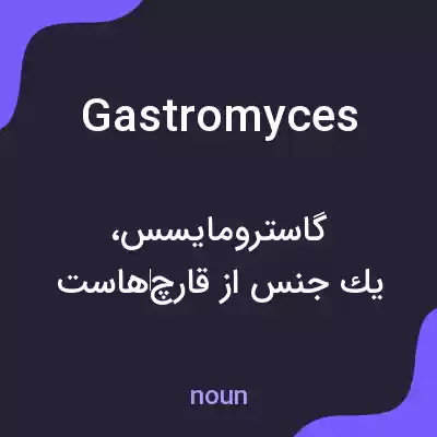 معنی gastromyces به فارسی معنی gastromyces به فارسی