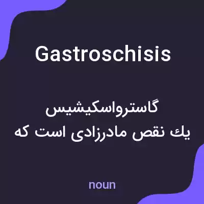 معنی gastroschisis به فارسی معنی gastroschisis به فارسی