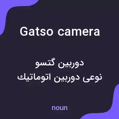 معنی gatso camera به فارسی معنی gatso camera به فارسی