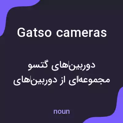 معنی gatso cameras به فارسی معنی gatso cameras به فارسی