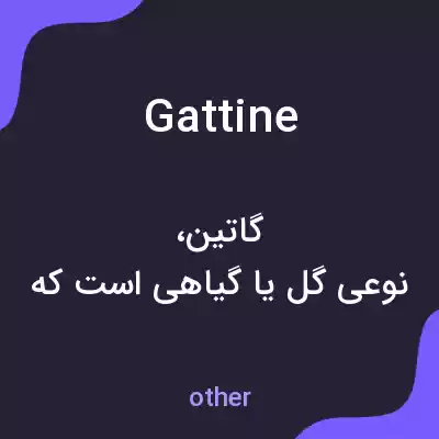 معنی gattine به فارسی معنی gattine به فارسی