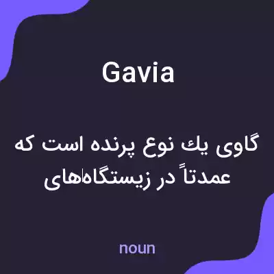 معنی gavia به فارسی معنی gavia به فارسی