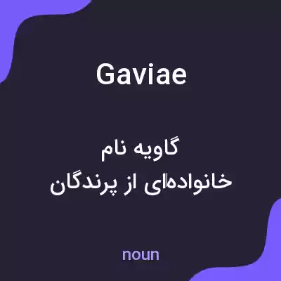 معنی gaviae به فارسی
