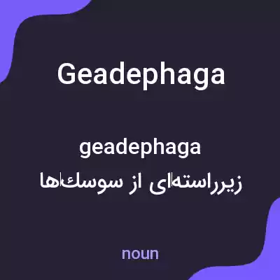 معنی geadephaga به فارسی معنی geadephaga به فارسی