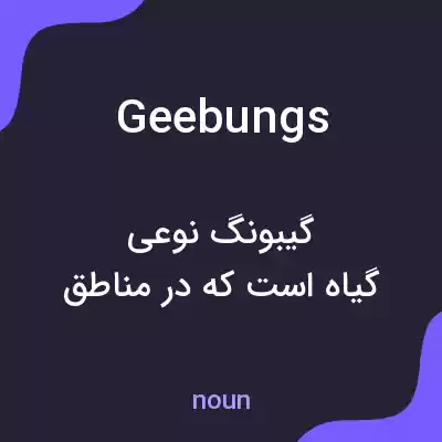 معنی geebungs به فارسی معنی geebungs به فارسی