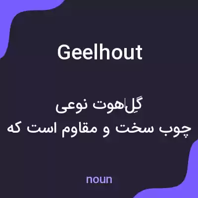 معنی geelhout به فارسی