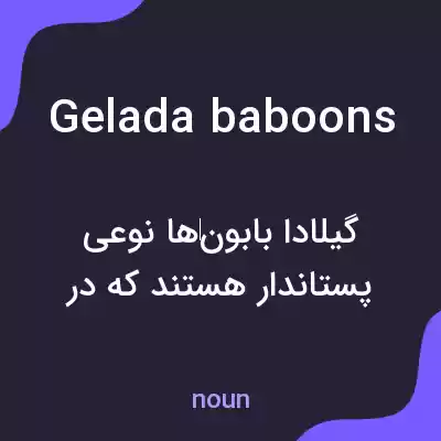 معنی gelada baboons به فارسی معنی gelada baboons به فارسی