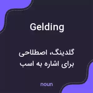 معنی gelding به فارسی معنی gelding به فارسی