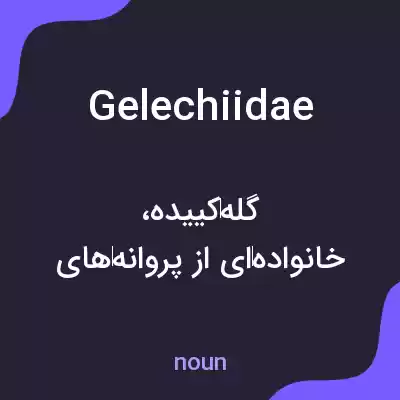 معنی gelechiidae به فارسی معنی gelechiidae به فارسی