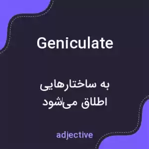 معنی geniculate به فارسی معنی geniculate به فارسی