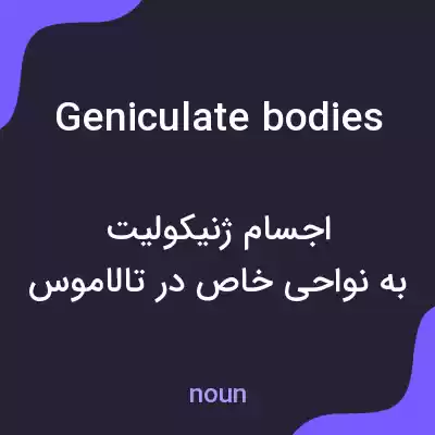 معنی geniculate bodies به فارسی معنی geniculate bodies به فارسی