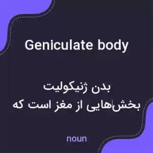 معنی geniculate body به فارسی معنی geniculate body به فارسی