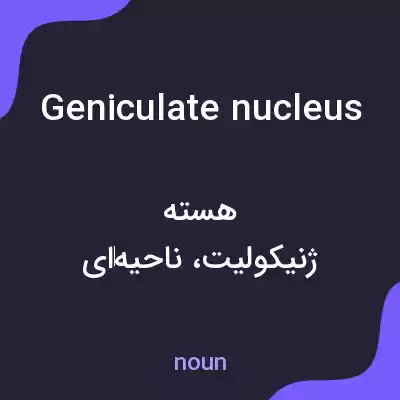 معنی geniculate nucleus به فارسی معنی geniculate nucleus به فارسی