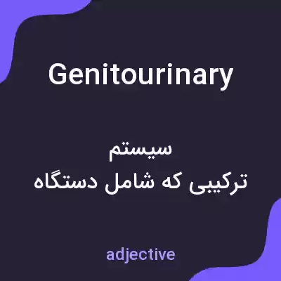 معنی genitourinary به فارسی معنی genitourinary به فارسی