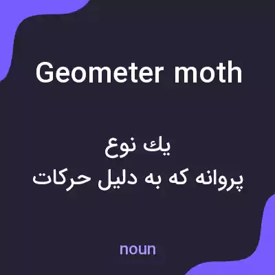 معنی geometer moth به فارسی معنی geometer moth به فارسی