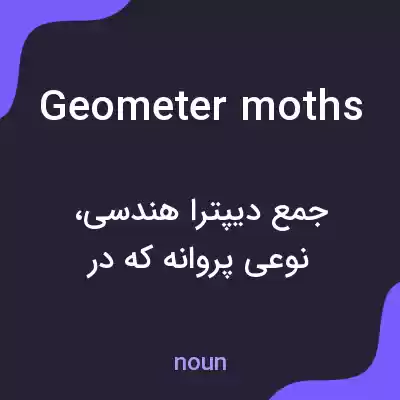 معنی geometer moths به فارسی معنی geometer moths به فارسی
