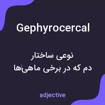 معنی gephyrocercal به فارسی معنی gephyrocercal به فارسی