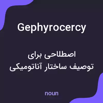 معنی gephyrocercy به فارسی معنی gephyrocercy به فارسی