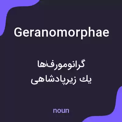 معنی geranomorphae به فارسی معنی geranomorphae به فارسی