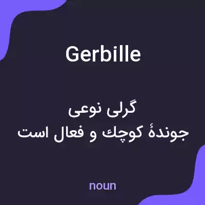 معنی gerbille به فارسی معنی gerbille به فارسی