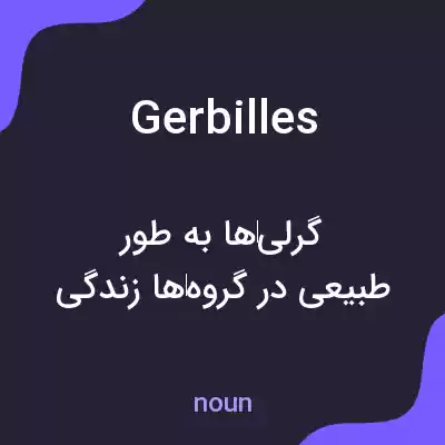 معنی gerbilles به فارسی معنی gerbilles به فارسی