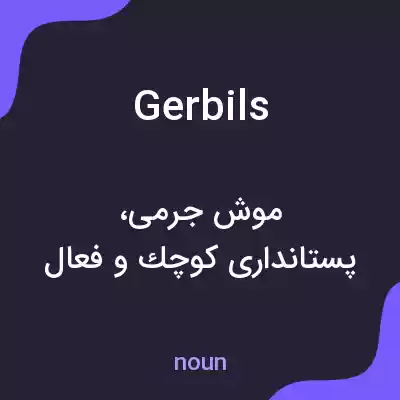 معنی gerbils به فارسی معنی gerbils به فارسی