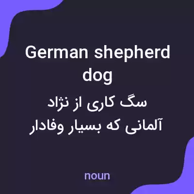 معنی german shepherd dog به فارسی معنی german shepherd dog به فارسی