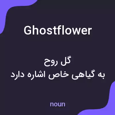 معنی ghostflower به فارسی