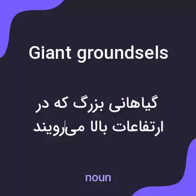 معنی giant groundsels به فارسی معنی giant groundsels به فارسی
