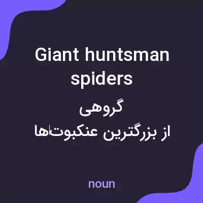 معنی giant huntsman spiders به فارسی معنی giant huntsman spiders به فارسی