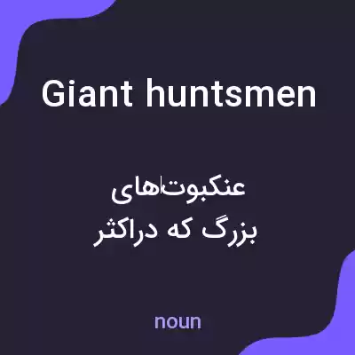 معنی giant huntsmen به فارسی معنی giant huntsmen به فارسی