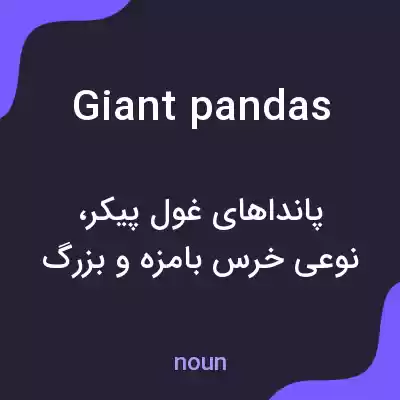 معنی giant pandas به فارسی معنی giant pandas به فارسی