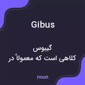 معنی gibus به فارسی