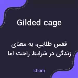 معنی gilded cage به فارسی معنی gilded cage به فارسی