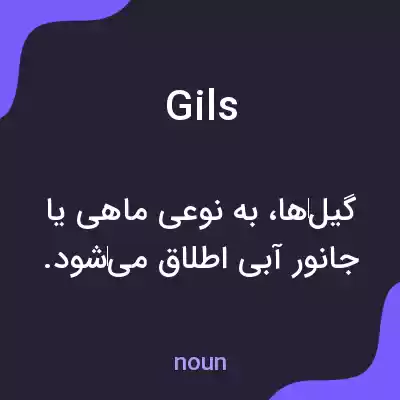 معنی gils به فارسی معنی gils به فارسی