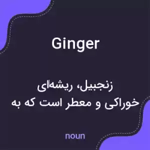 معنی ginger به فارسی معنی ginger به فارسی
