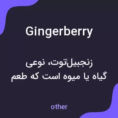 معنی gingerberry به فارسی معنی gingerberry به فارسی