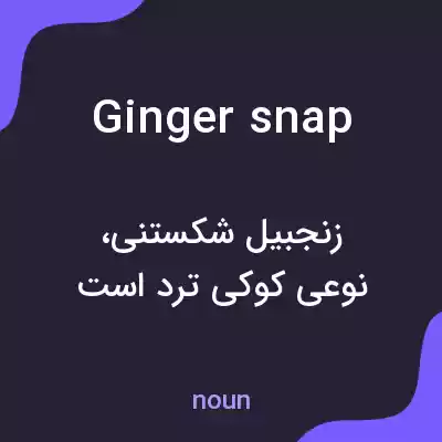معنی ginger snap به فارسی معنی ginger snap به فارسی
