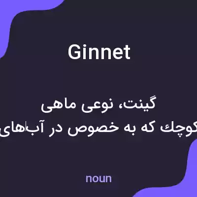 معنی ginnet به فارسی معنی ginnet به فارسی