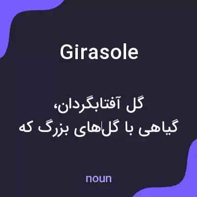 معنی girasole به فارسی معنی girasole به فارسی