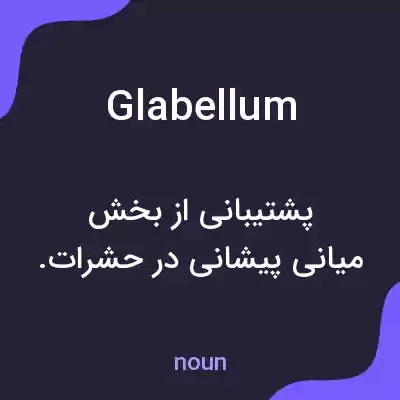 معنی glabellum به فارسی معنی glabellum به فارسی