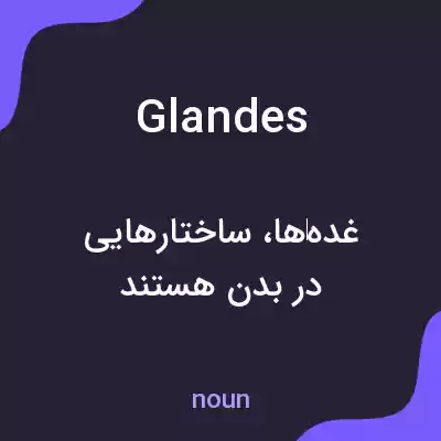 معنی glandes به فارسی معنی glandes به فارسی