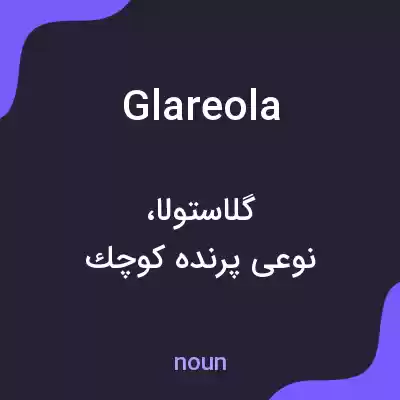 معنی glareola به فارسی معنی glareola به فارسی