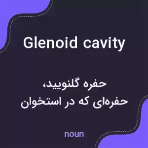 معنی glenoid cavity به فارسی معنی glenoid cavity به فارسی