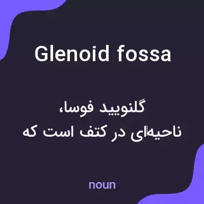 معنی glenoid fossa به فارسی معنی glenoid fossa به فارسی