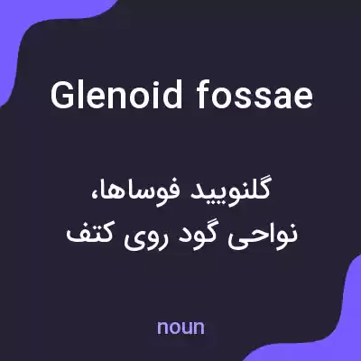 معنی glenoid fossae به فارسی معنی glenoid fossae به فارسی
