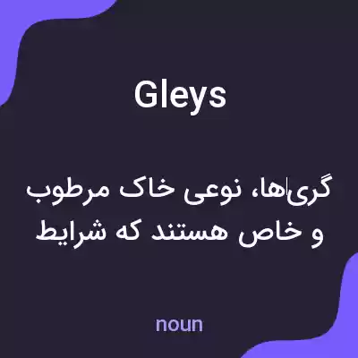 معنی gleys به فارسی معنی gleys به فارسی