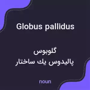 معنی globus pallidus به فارسی معنی globus pallidus به فارسی