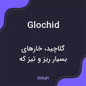معنی glochid به فارسی معنی glochid به فارسی